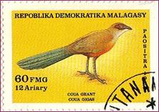 Мадагаскар. REPOBLIKA DEMOKRATIKA MALAGASY. 1986. COUA GEANT COUA GIGAS. PAOSITRA. 60 FMG. 12 Ariary