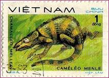 VIET NAM Вьетнам. 1983. Хамелеон Cameleo menle. Chameled  meller. BUU CHINH. HIEP.SAM. 1 dong.