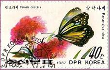 DPR KOREA. Корея КНДР. 1987. Бабочка. Parantica sita. Celosia cristata. 40k.